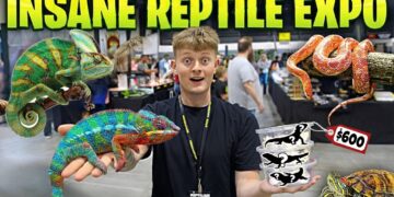 REPTILE (2026) – First Trailer Review