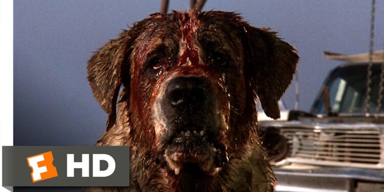 Cujo (2026) – A Blood-Soaked, Thrilling Reimagining of a Horror Classic